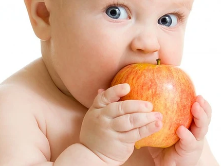 Régime alimentaire pour votre bébé à partir de 8 mois