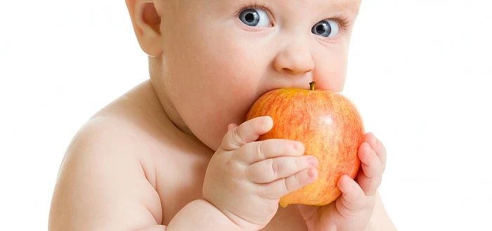 Régime alimentaire pour votre bébé à partir de 8 mois