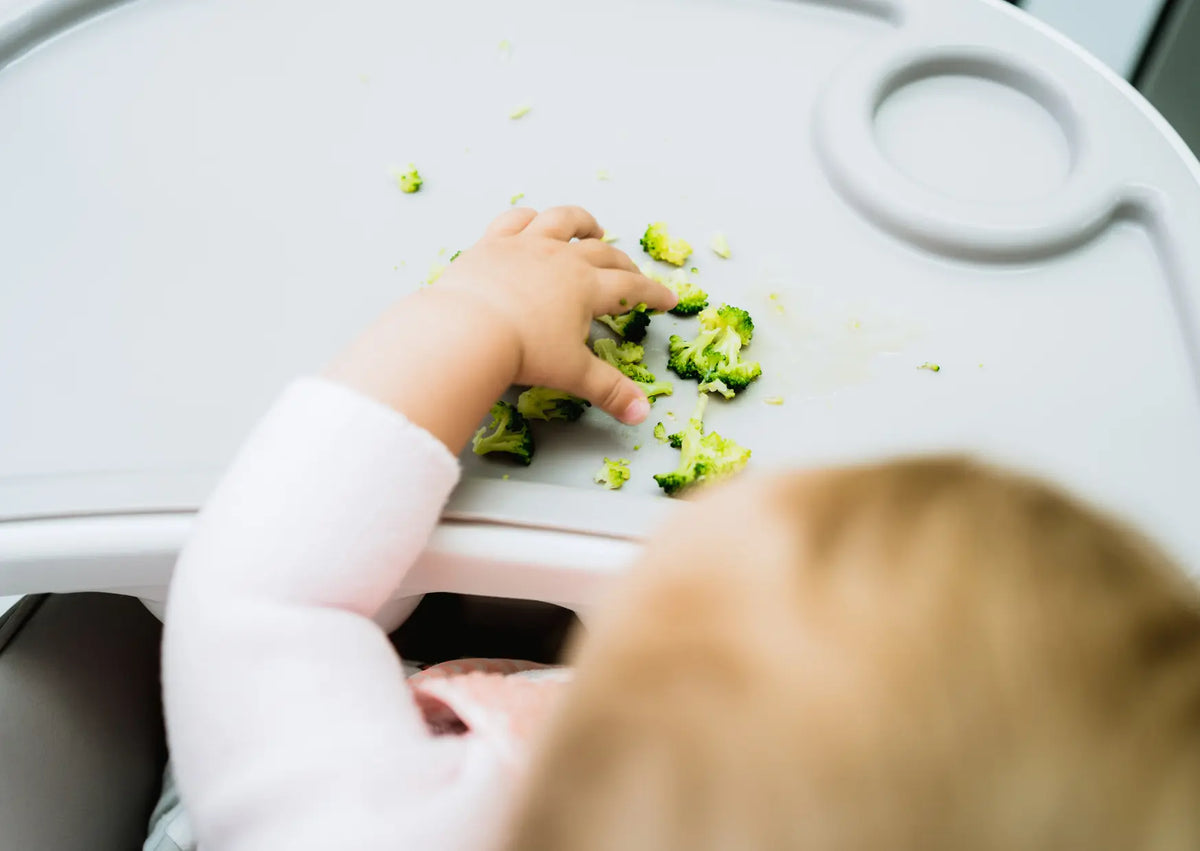 Bébé mange seul des morceaux de fruit